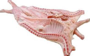 Cabrito-lechal