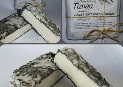 Queso de cabra de cuajada láctica madurada al carbón (TIZNAO)