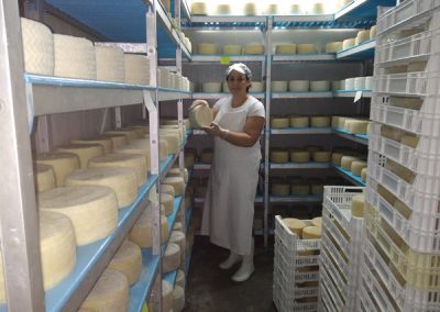 cámara de maduración de queso de cabra