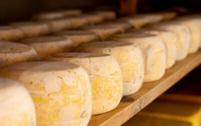 La importancia cultural de la producción artesanal del queso de cabra