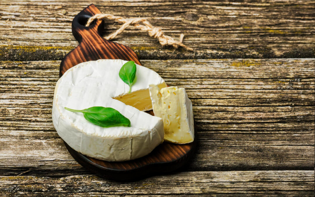 Quesos de Cabra y Cultura: Tradición y Gastronomía
