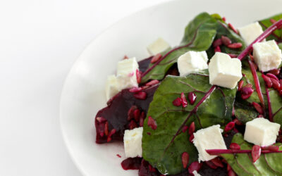 Recetas irresistibles con queso de cabra artesanal
