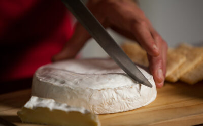 ¿Cómo reconocer un queso de calidad: consejos de expertos?